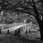 008_Lindh.jpg